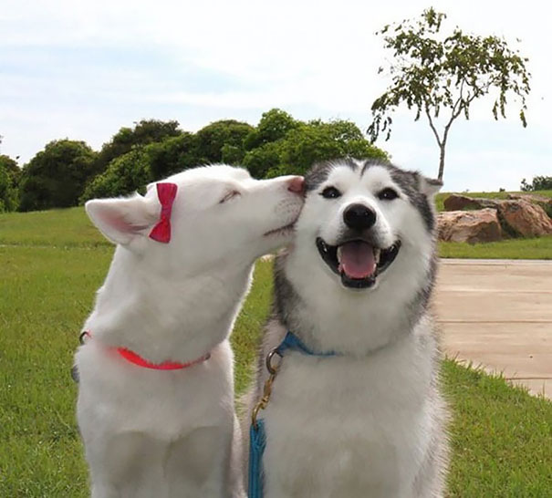 This Picture Makes Me Incredibly Happy This Picture Makes Me Incredibly Happy