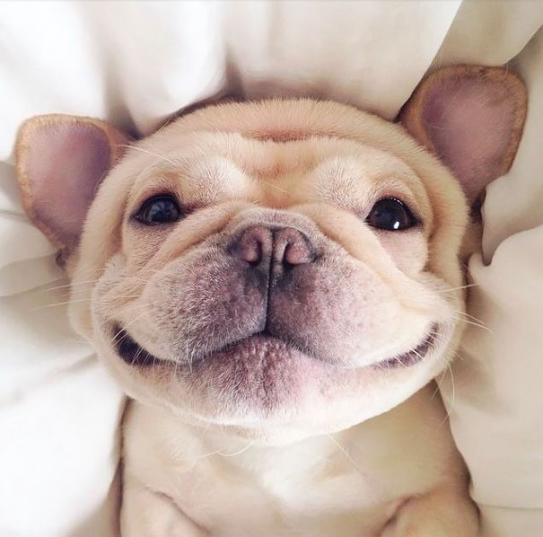 Smile Smile
