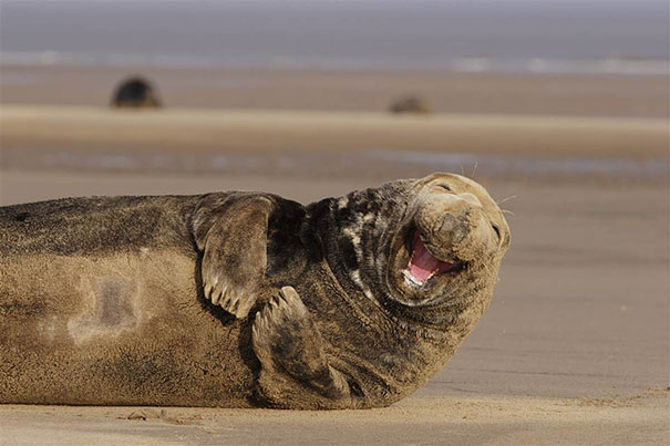 Say Cheese! Say Cheese!