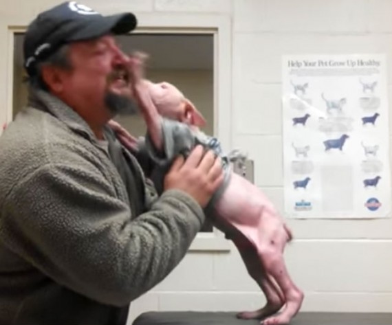Man Returns To Adopt The Dog He Rescued, And The Surprised Pup Couldn&#39;t Be  Happier