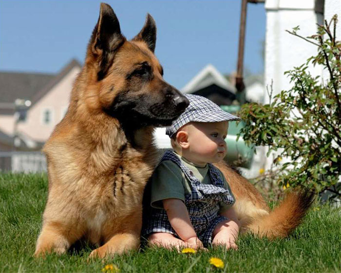 kids-with-dogs-72__7003